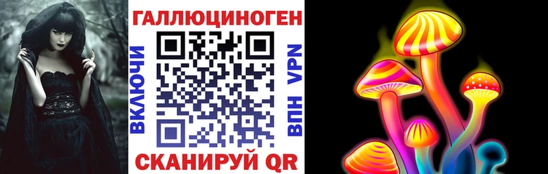 Галлюциногенные грибы MAGIC MUSHROOMS  закладки  Щучье 